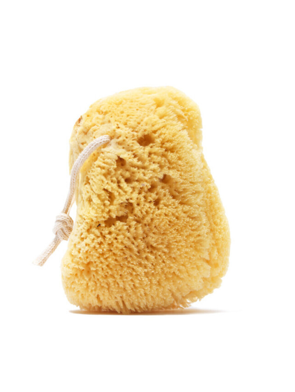 PUBLIC GOODS Sea Sponge, 3 Pack, NWT
